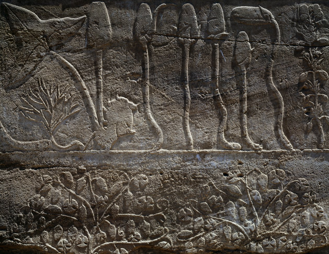  by Egyptian 18th Dynasty