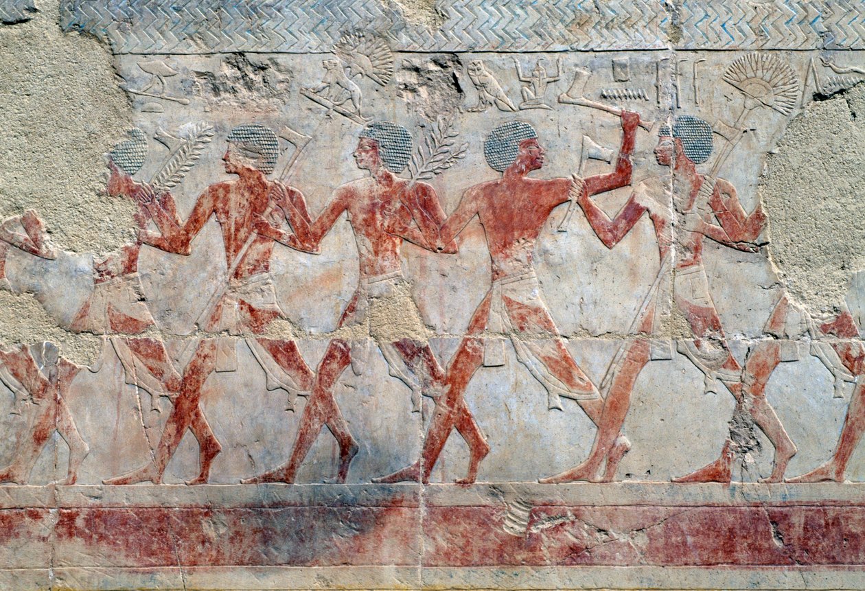 Alay sahnesi, doğu duvarı, üst avlu, Hatşepsut Morg Tapınağı, Deir el-Bahari, Theban Nekropolü (UNESCO Dünya Mirası Listesi by Egyptian 18th Dynasty