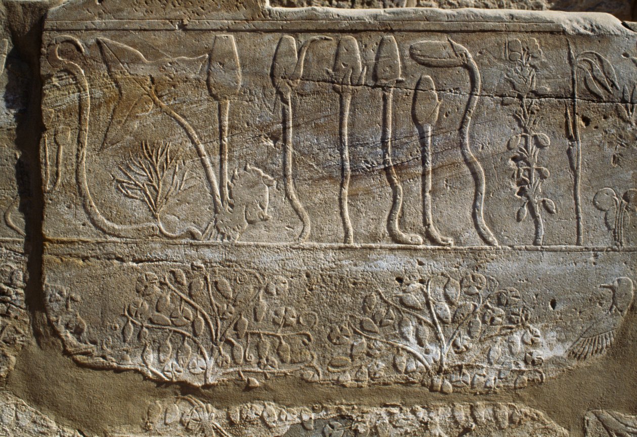  by Egyptian 18th Dynasty