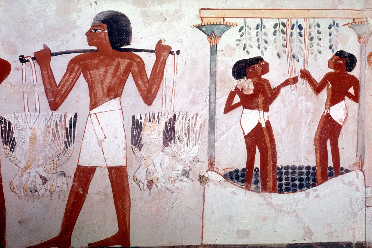 Bilinmeyen resim by Egyptian 18th Dynasty