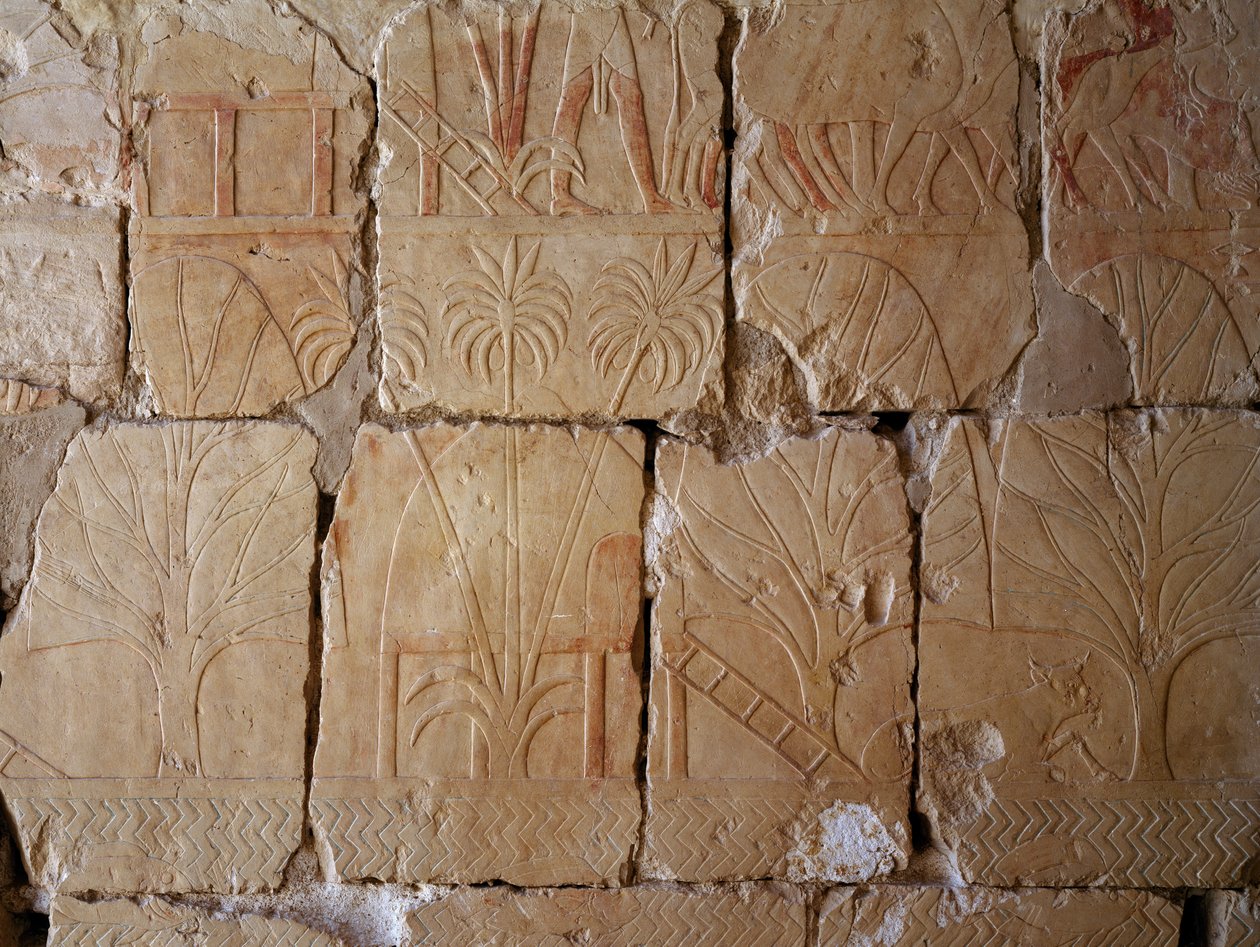  by Egyptian 18th Dynasty