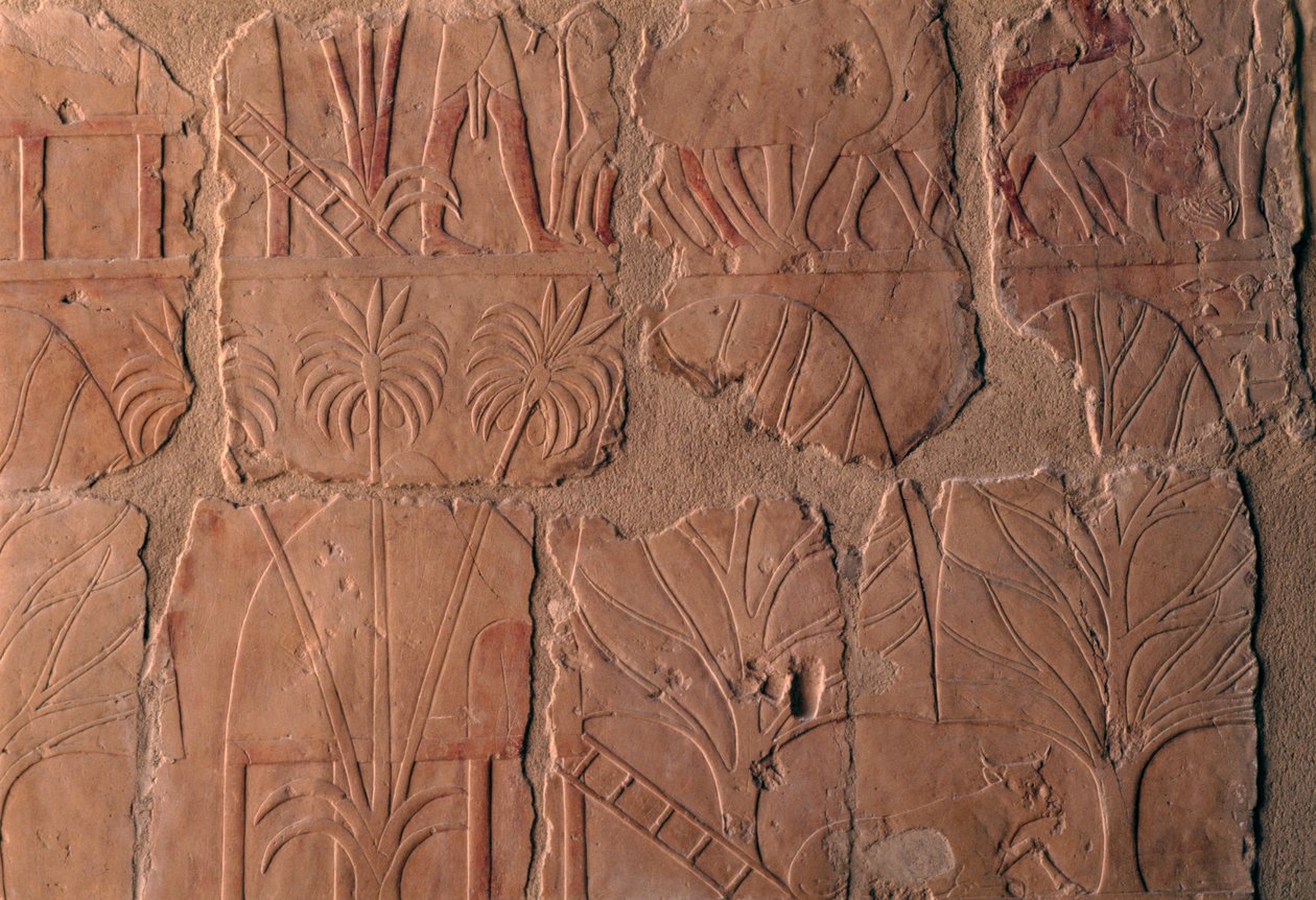  by Egyptian 18th Dynasty