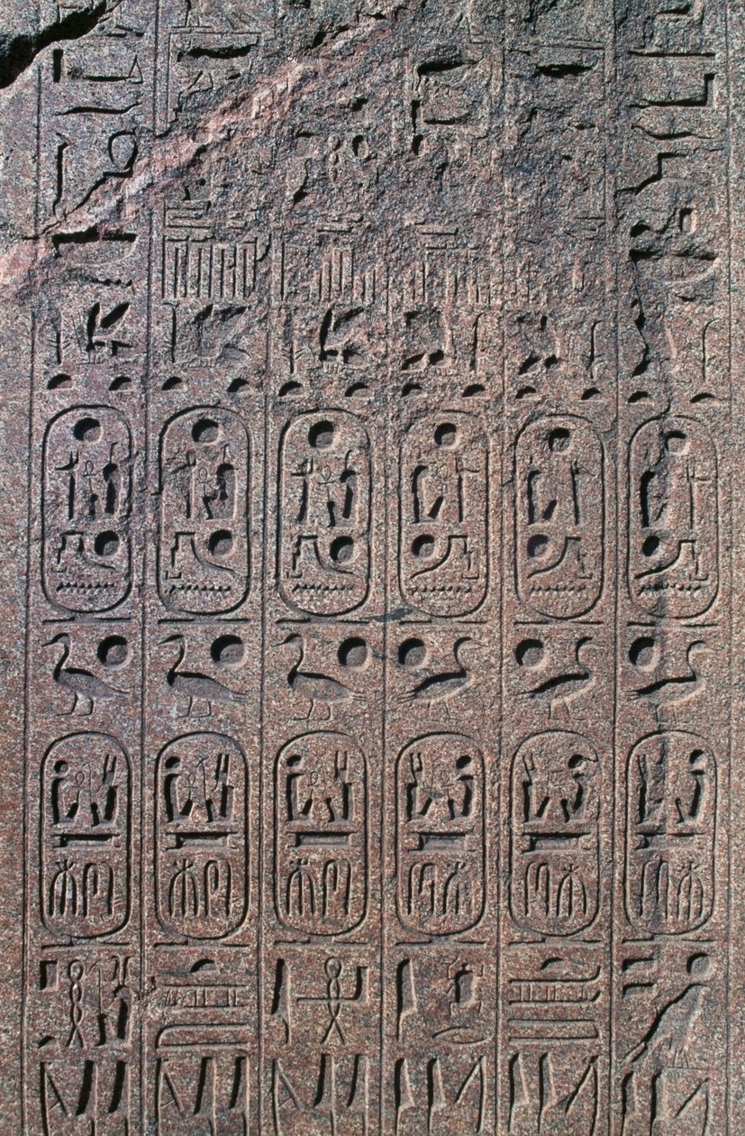 Kabartmalı ve yazıtlı blok, Büyük Amun Tapınağı, Tanis, Mısır, Yeni Krallık, Hanedan XIX by Egyptian 19th Dynasty