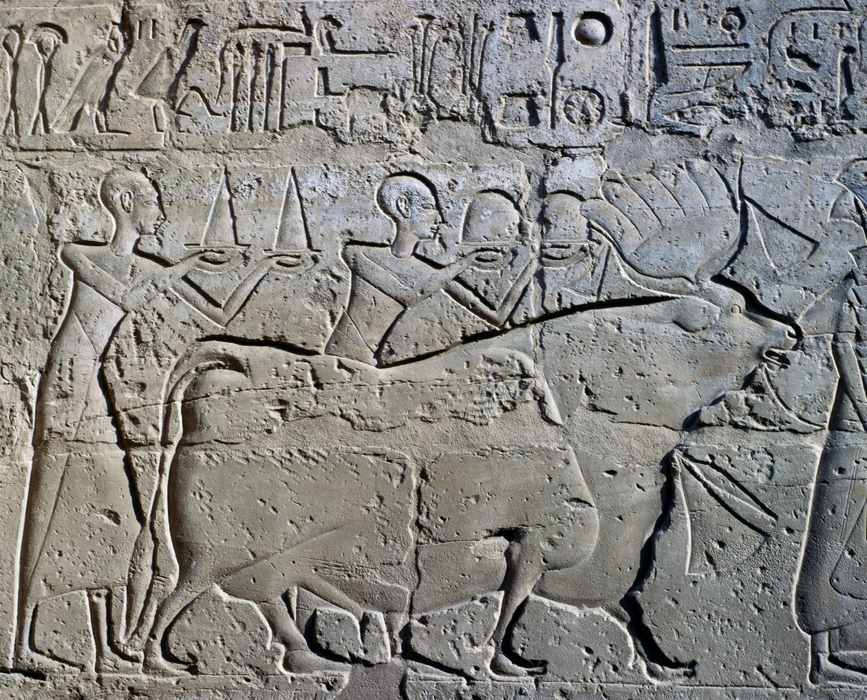Tanrıya haraçlarını getiren maden bölgelerini simgeleyen karakterler, kabartma, Ramesses II Avlusu, Amun Tapınağı (Unesco Dünya Mirası Listesi by Egyptian 19th Dynasty