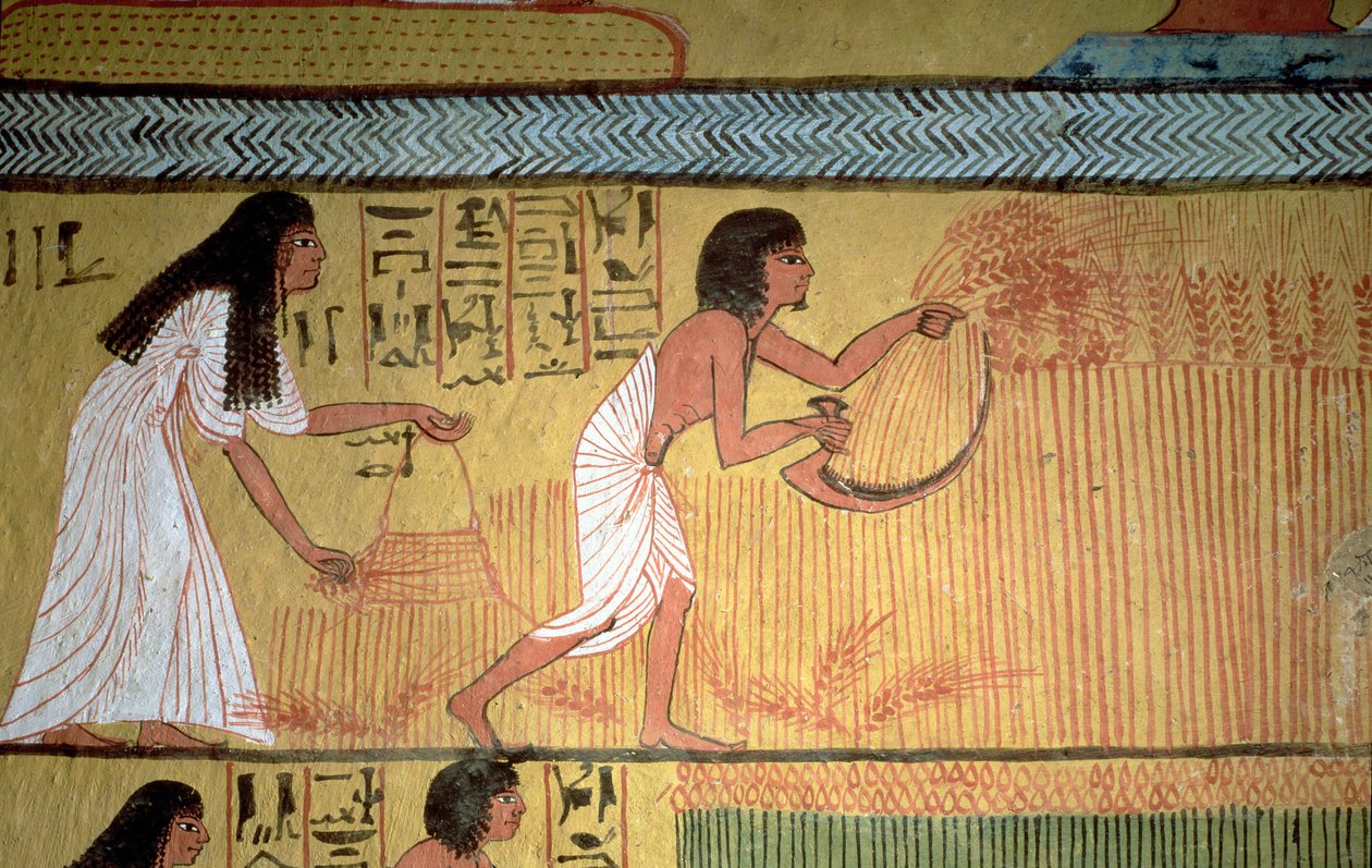 Doğu Duvarındaki Sennedjem Mezarı, İşçiler Köyü, Yeni Krallık
