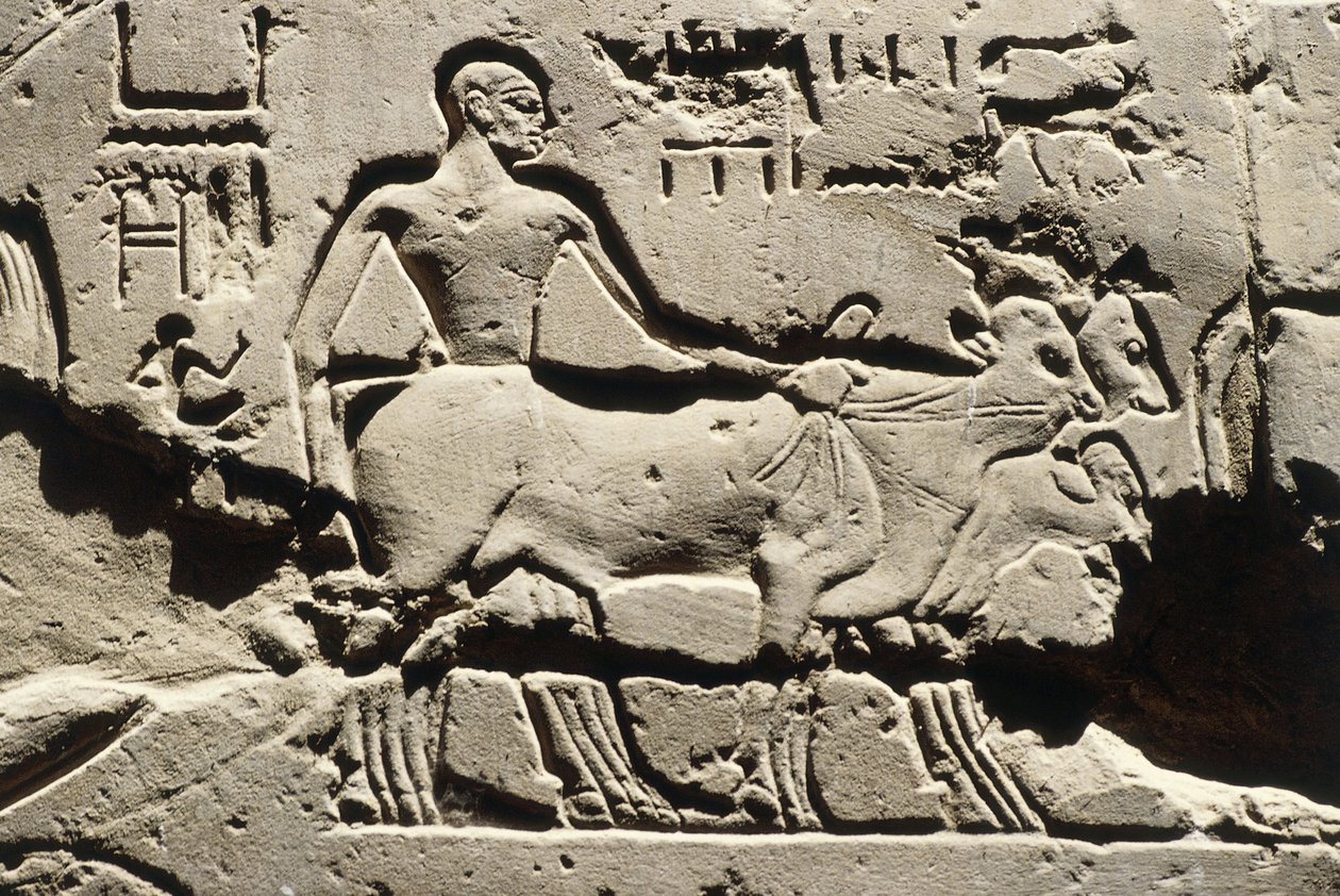  by Egyptian 19th Dynasty