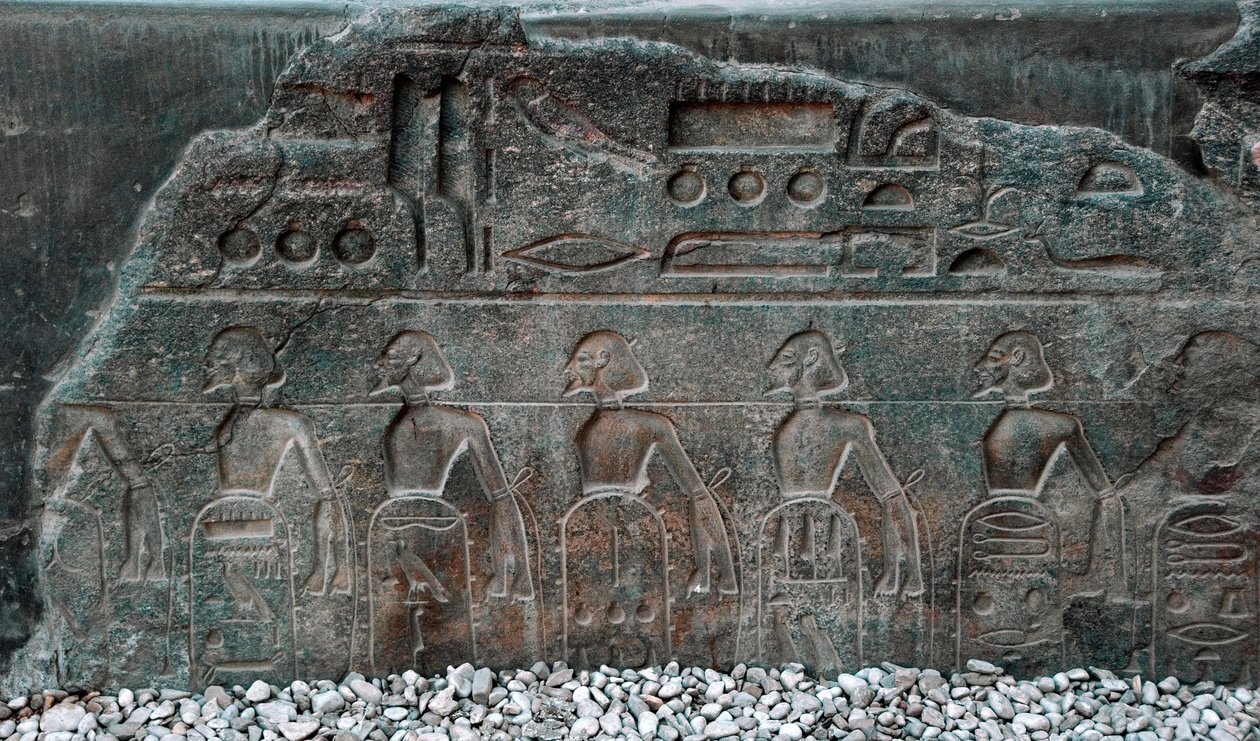 Mısır antikası: Firavun II. Ramses (MÖ 1292-1186) tarafından fethedilen bölgelerin amblemlerini süsleyen bir kabartmanın detayı. Luksor Tapınağı. Doğu Şeria (Thebes), Mısır by Egyptian 19th Dynasty