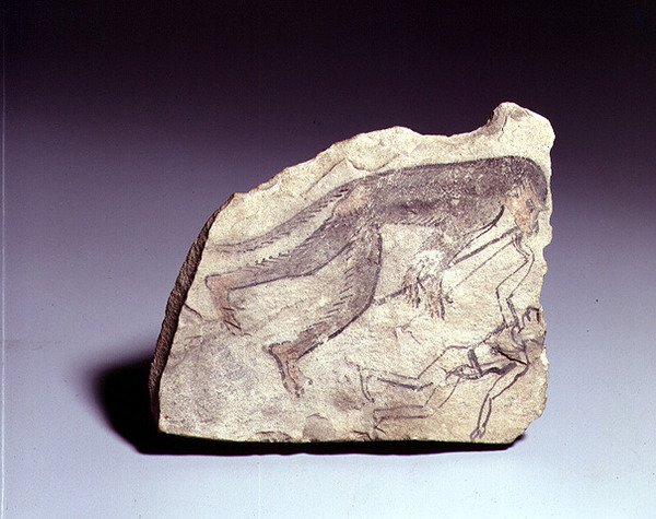 Flüt çalan bir maymun figürlü Ostracon, New Kingdom (kireçtaşı boyalı) by Egyptian 19th Dynasty