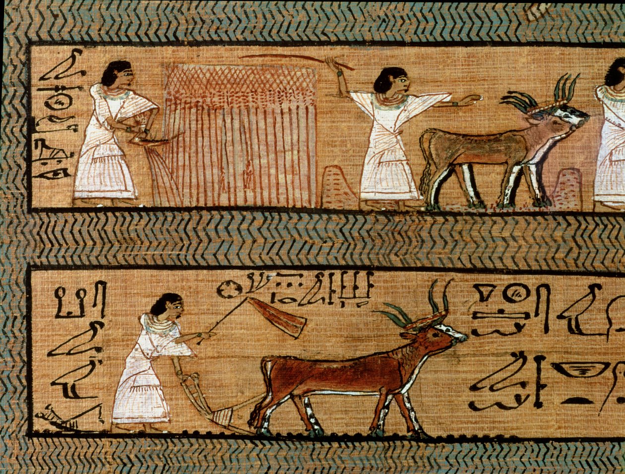 Biçme ve çiftçilik, ölümden sonraki yaşamdaki çiftçilik faaliyetlerinin bir tasvirinden detay, Kâtibin Ölüleri Kitabı, MÖ 1250 dolayları by Egyptian 19th Dynasty