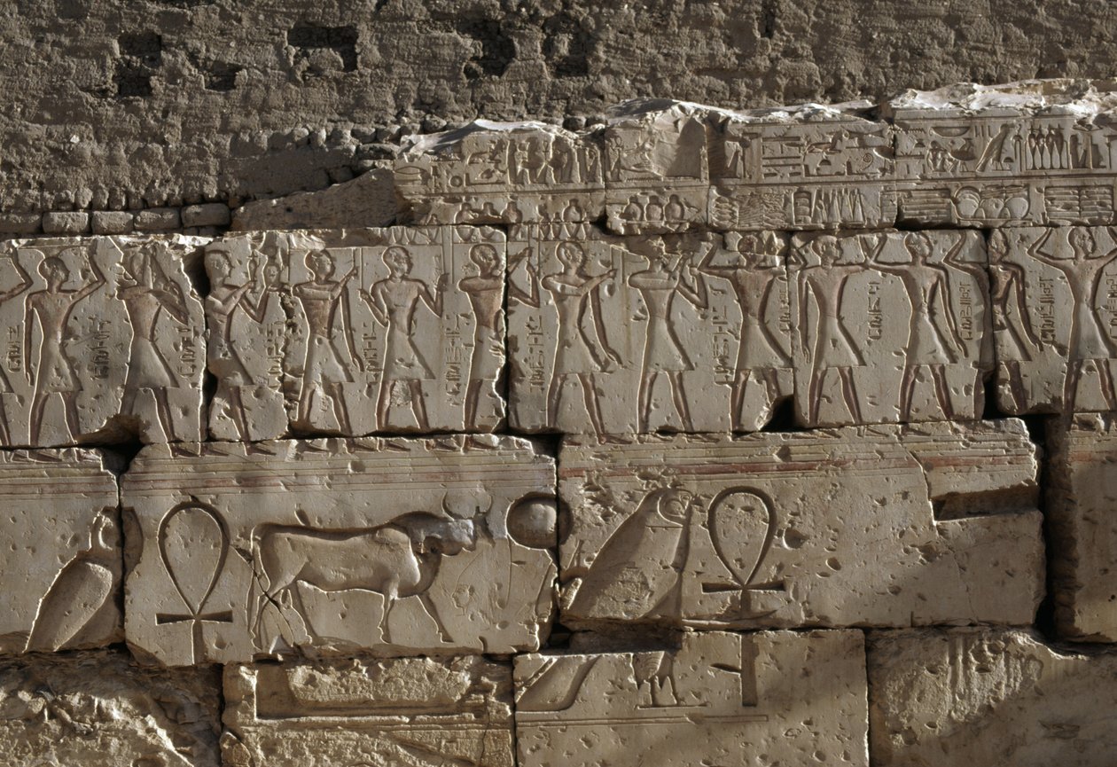 Rölyef, II. Ramses Tapınağı, Abydos, Mısır, Mısır uygarlığı, Yeni Krallık, XIX. Hanedan (fotoğraf) by Egyptian 19th Dynasty