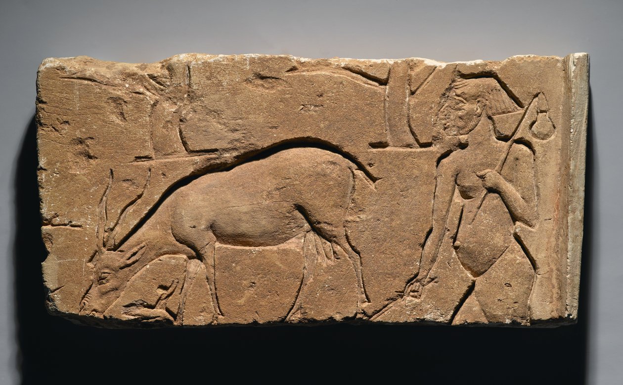 Muhtemelen Tell el-Amarna, Yeni Krallık, MÖ 1350-1333