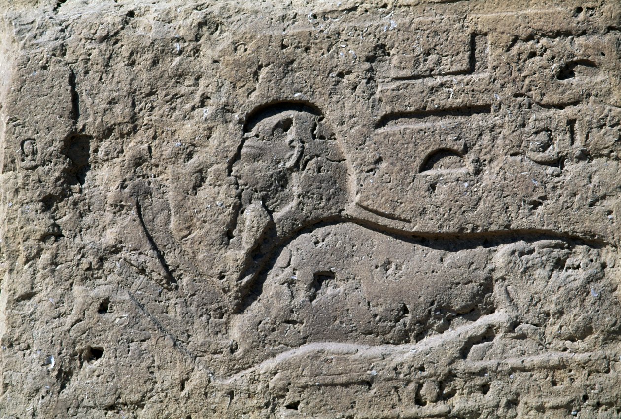  by Egyptian 19th Dynasty