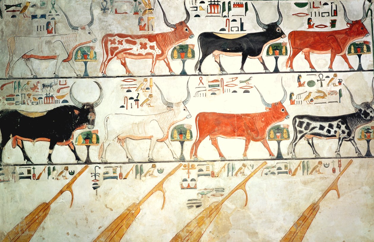 Yedi göksel inek ve kutsal boğa ve cennetin dört dümeni, Nefertari Mezarı