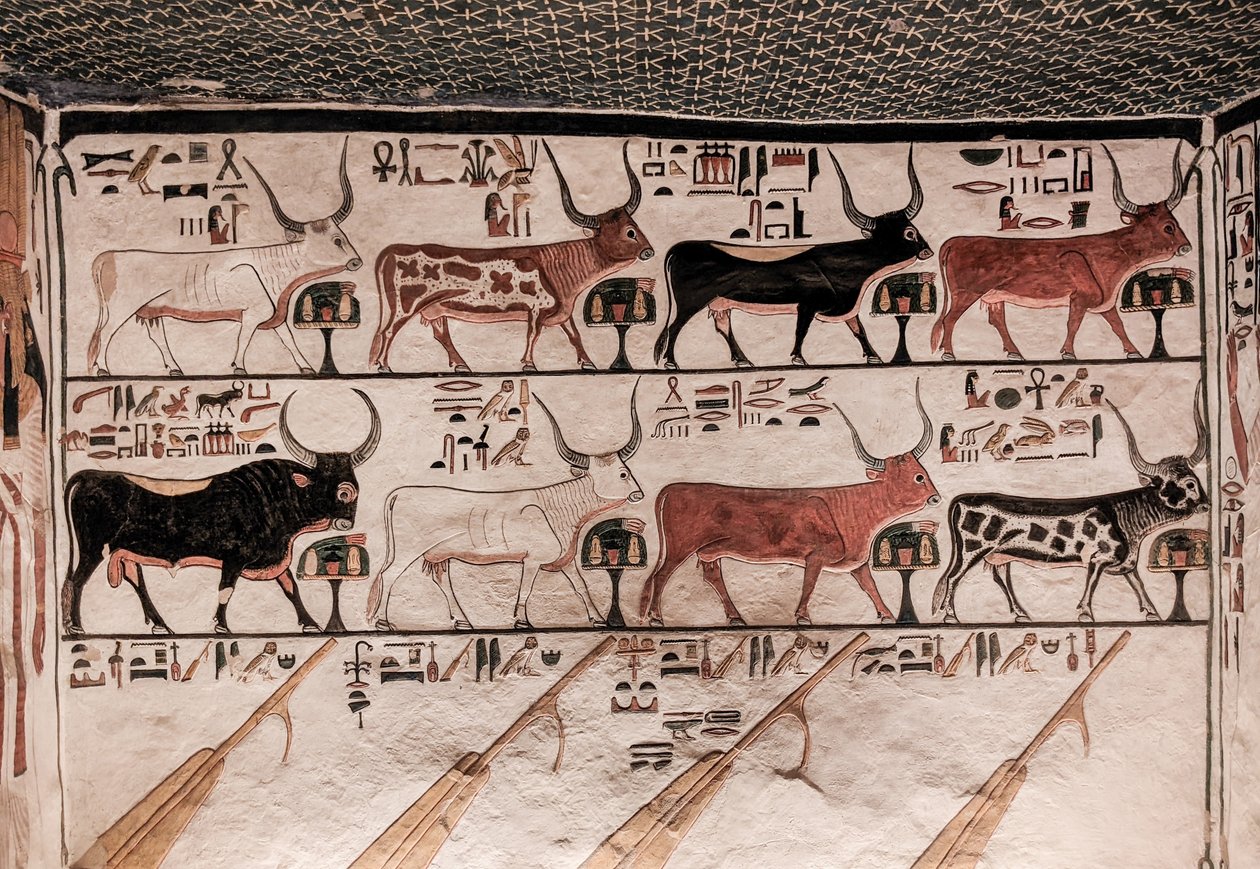 Nefertari