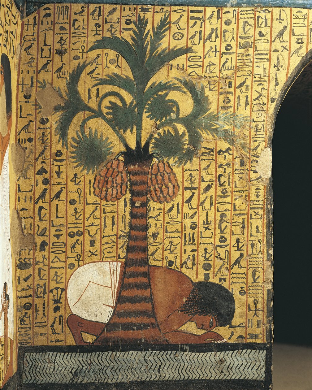 Pashedu