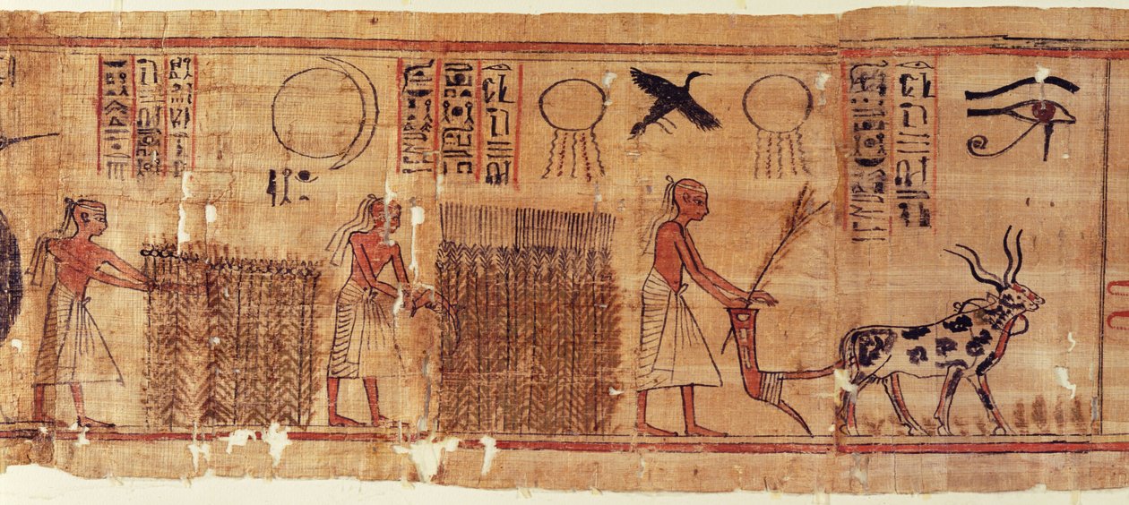 Neb-Hepet'in Ölüleri Kitabı, tarlaların detayı by Egyptian 21st Dynasty