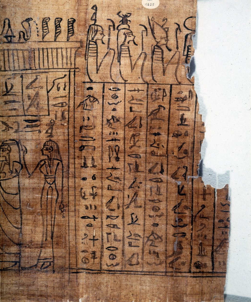Ölüler Kitabı: 22. hanedanın bir papirüsündeki Mısır hiyeroglifi. Detay. MÖ 9. yüzyıl. Torino, Mısır Müzesi. by Egyptian 22nd Dynasty