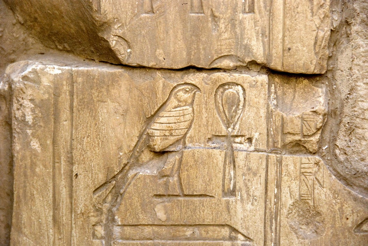 Mısır Antik Çağı: Ankh Hor Kartuşu. Ankh-Hor Mezarı (Ankh Hor) (TT414) (26. Hanedan, MÖ 672-525), Luksor (Thebes), Mısır by Egyptian 26th Dynasty