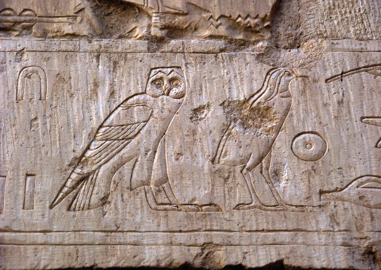 Mısır antikası: bir baykuş ve bir kartalı temsil eden kabartma. Ankh-Hor Mezarı (Ankh Hor) (TT414) (26. Hanedan, MÖ 672-525), Luksor (Thebes), Mısır by Egyptian 26th Dynasty