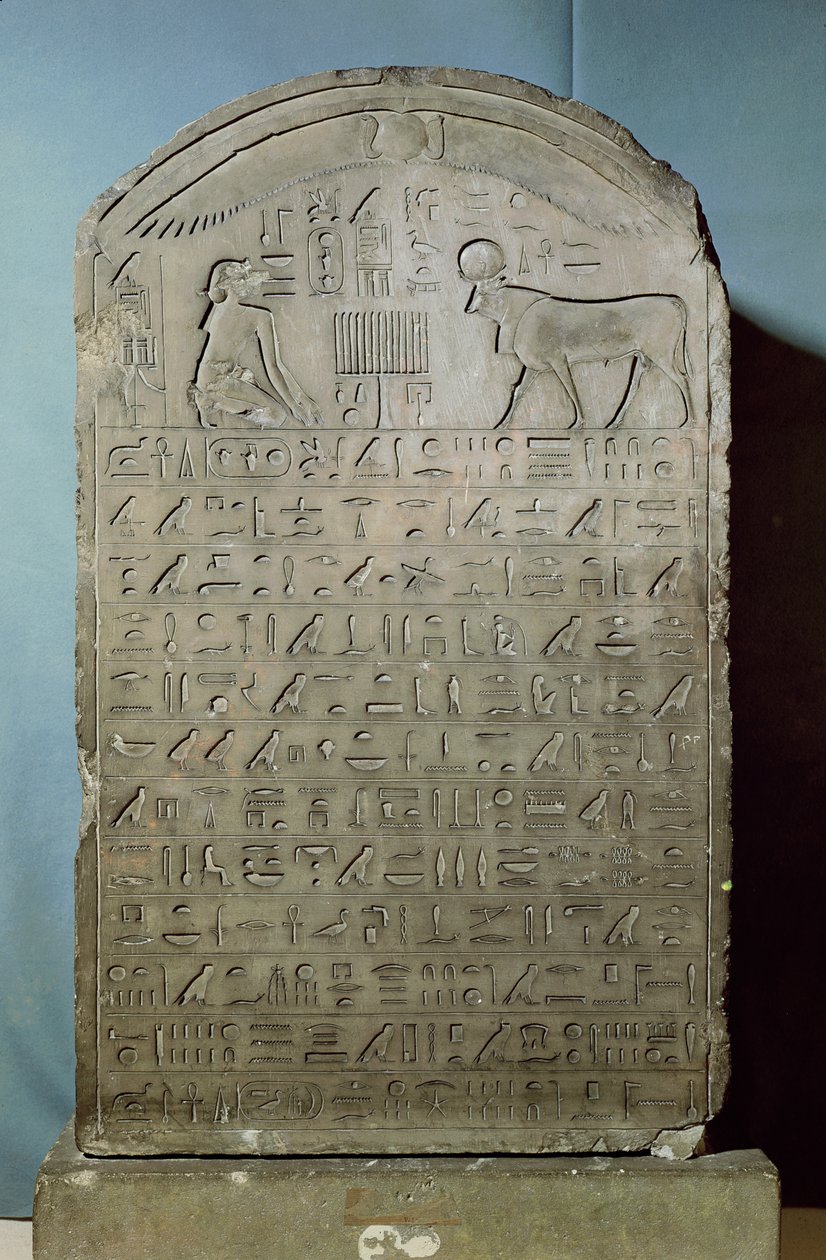 Apis boğasının II. Ahmose (Amasis) döneminde Saqqara