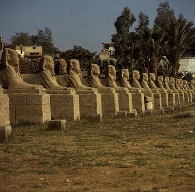 Sfenks Bulvarı, I. Nectanebo tarafından eklendi (MÖ 380-362) Geç Dönem by Egyptian 30th Dynasty