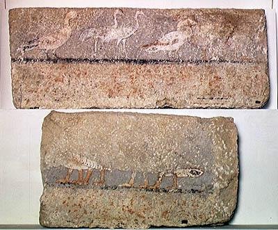Kuşları betimleyen duvar resmi, Eski Krallık (boyalı kalsit) by Egyptian 5th Dynasty