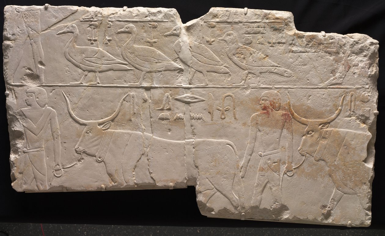 Kuş ve Sığır Getiren Adamların Rölyefi, MÖ 2311-2281 dolayları by Egyptian 6th Dynasty