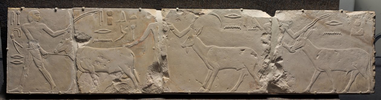 Çöl Hayvanları Getiren İnsanların Rölyefi, MÖ 2311-2281 dolayları by Egyptian 6th Dynasty
