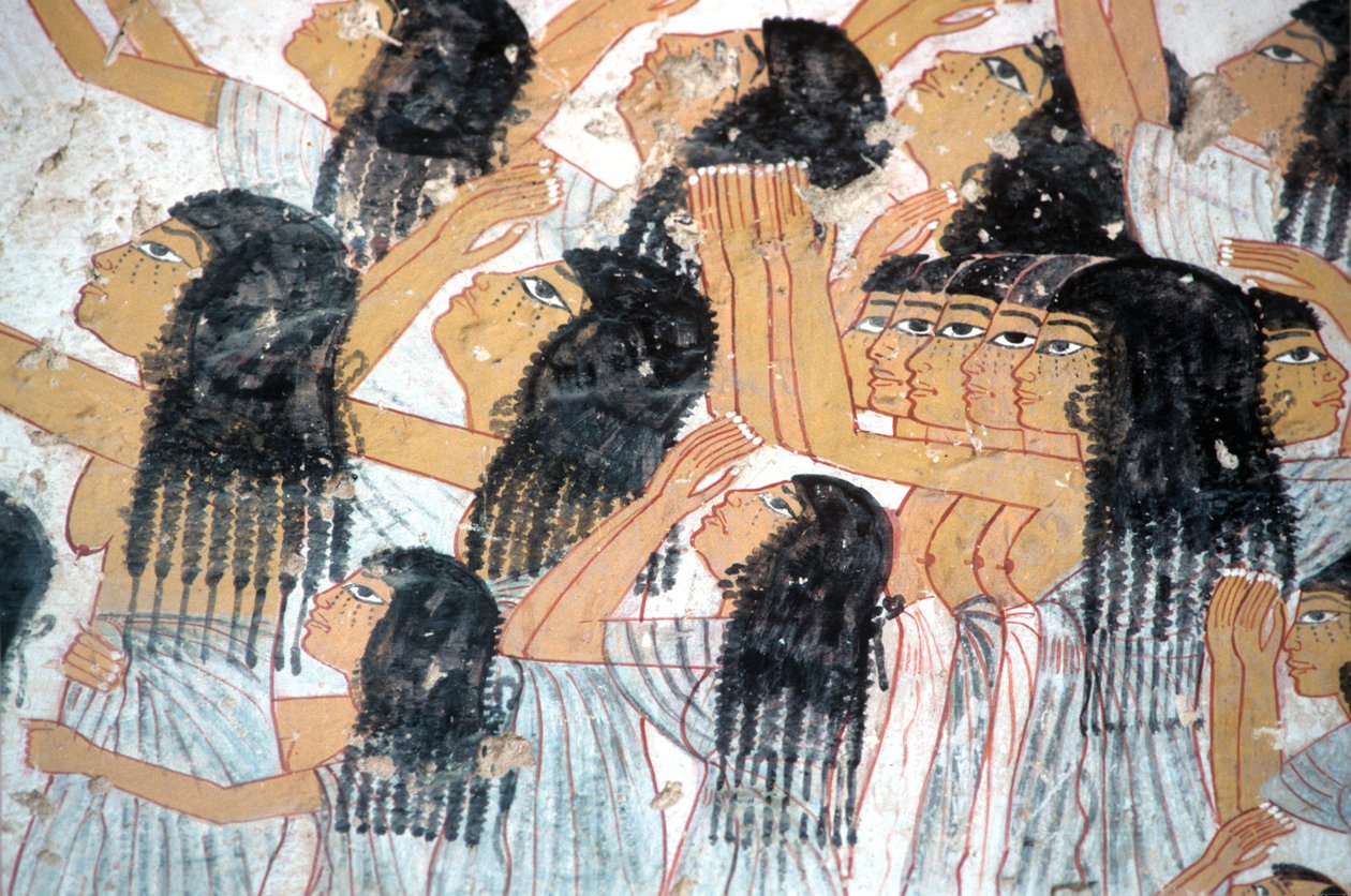  by Egyptian Egyptian