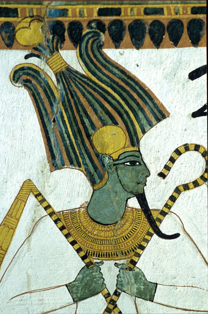  by Egyptian Egyptian