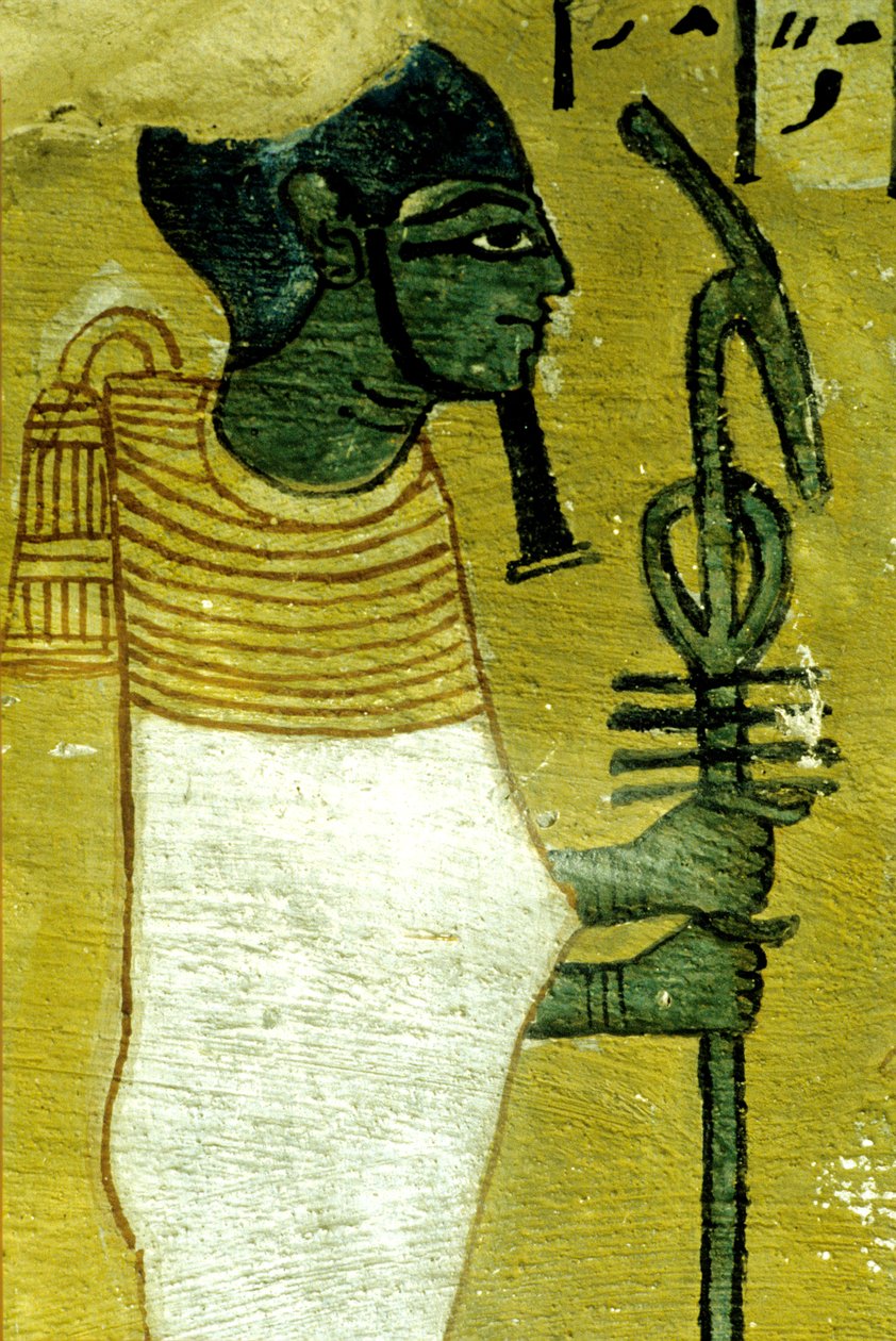  by Egyptian Egyptian