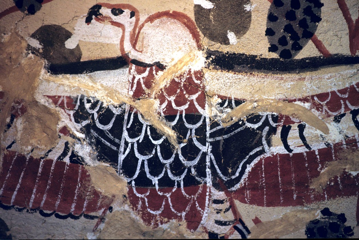  by Egyptian Egyptian