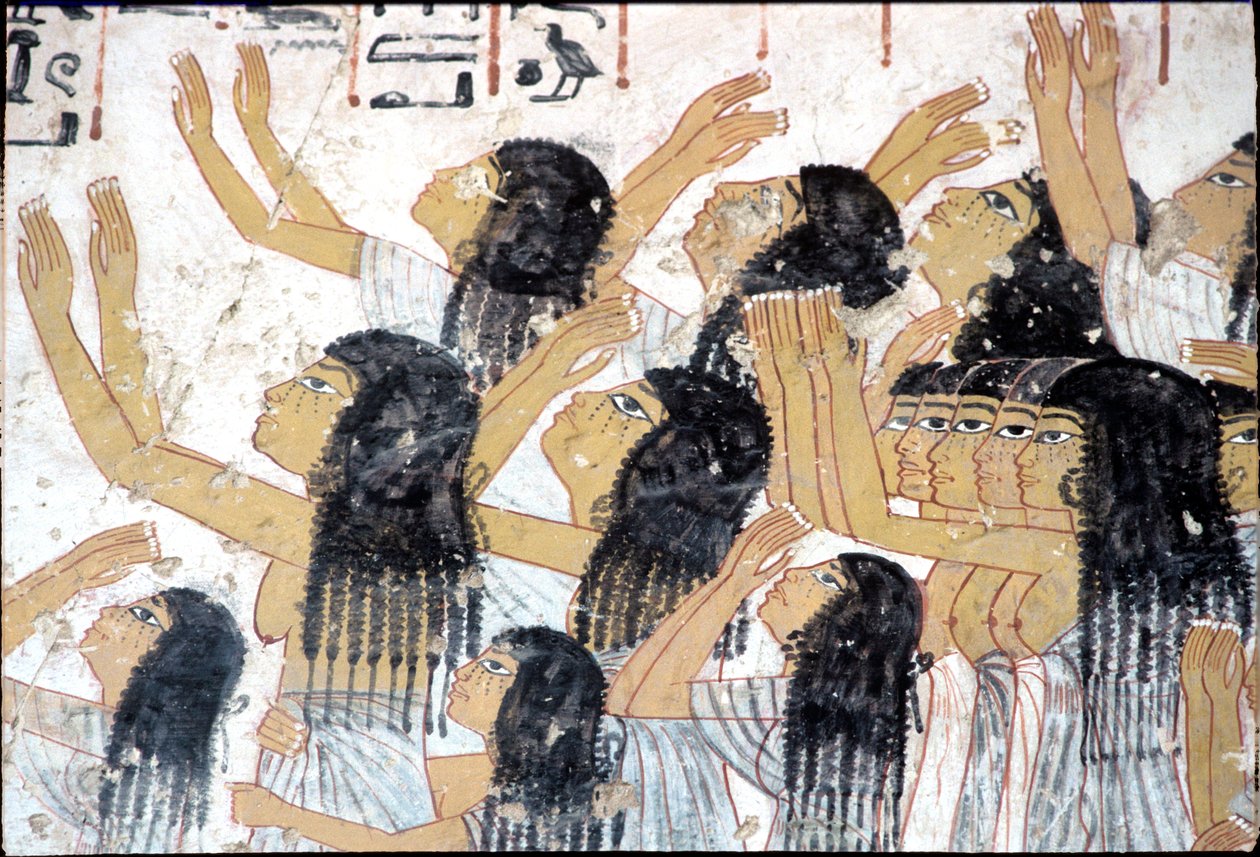  by Egyptian Egyptian