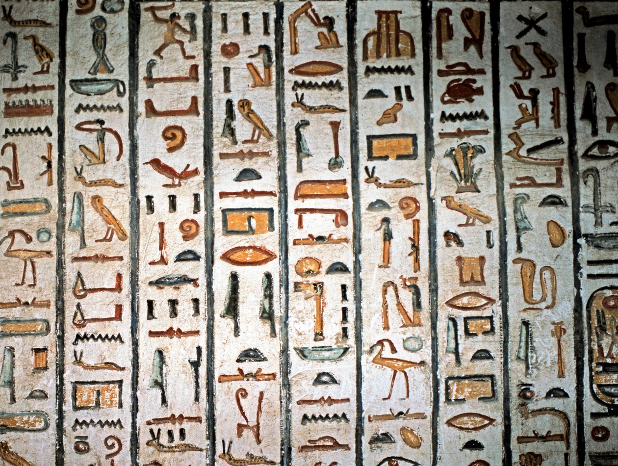  by Egyptian Egyptian
