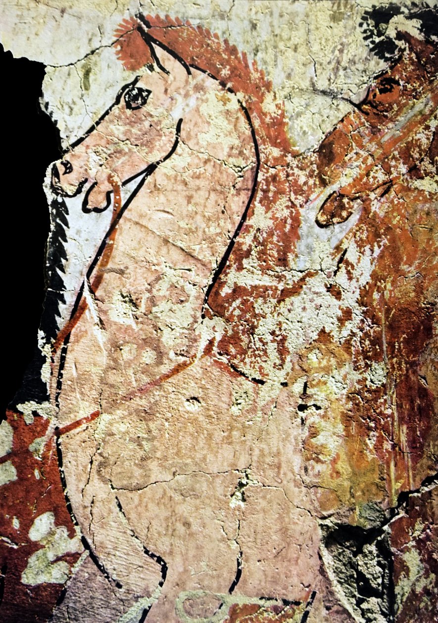  by Egyptian Egyptian