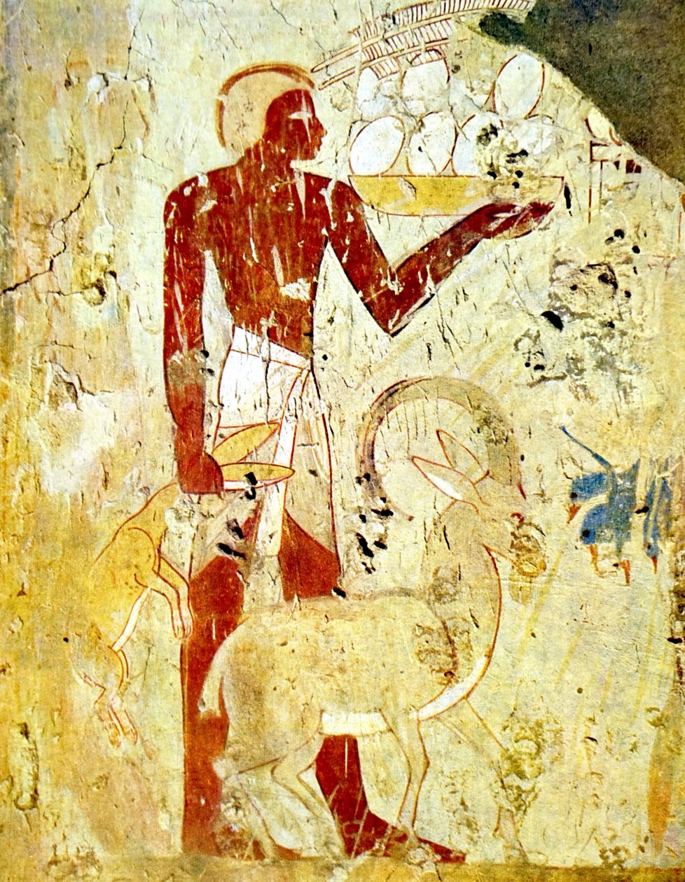  by Egyptian Egyptian