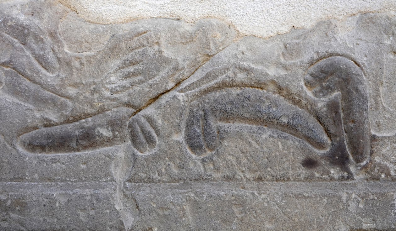  by Egyptian Egyptian