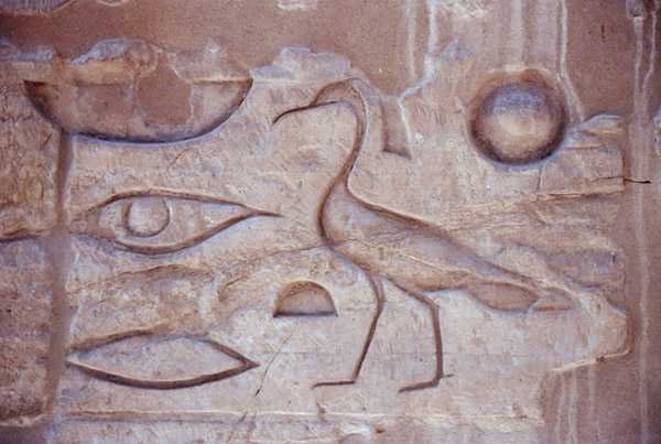 Bir sütundan hiyeroglifler, Luksor Tapınağı (fotoğraf) by Egyptian Egyptian