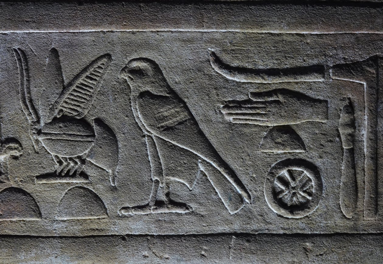 Hieroglyps, Firavun Arısı ve Horus Şahini, Horus Tapınağı, Edfu by Egyptian Egyptian