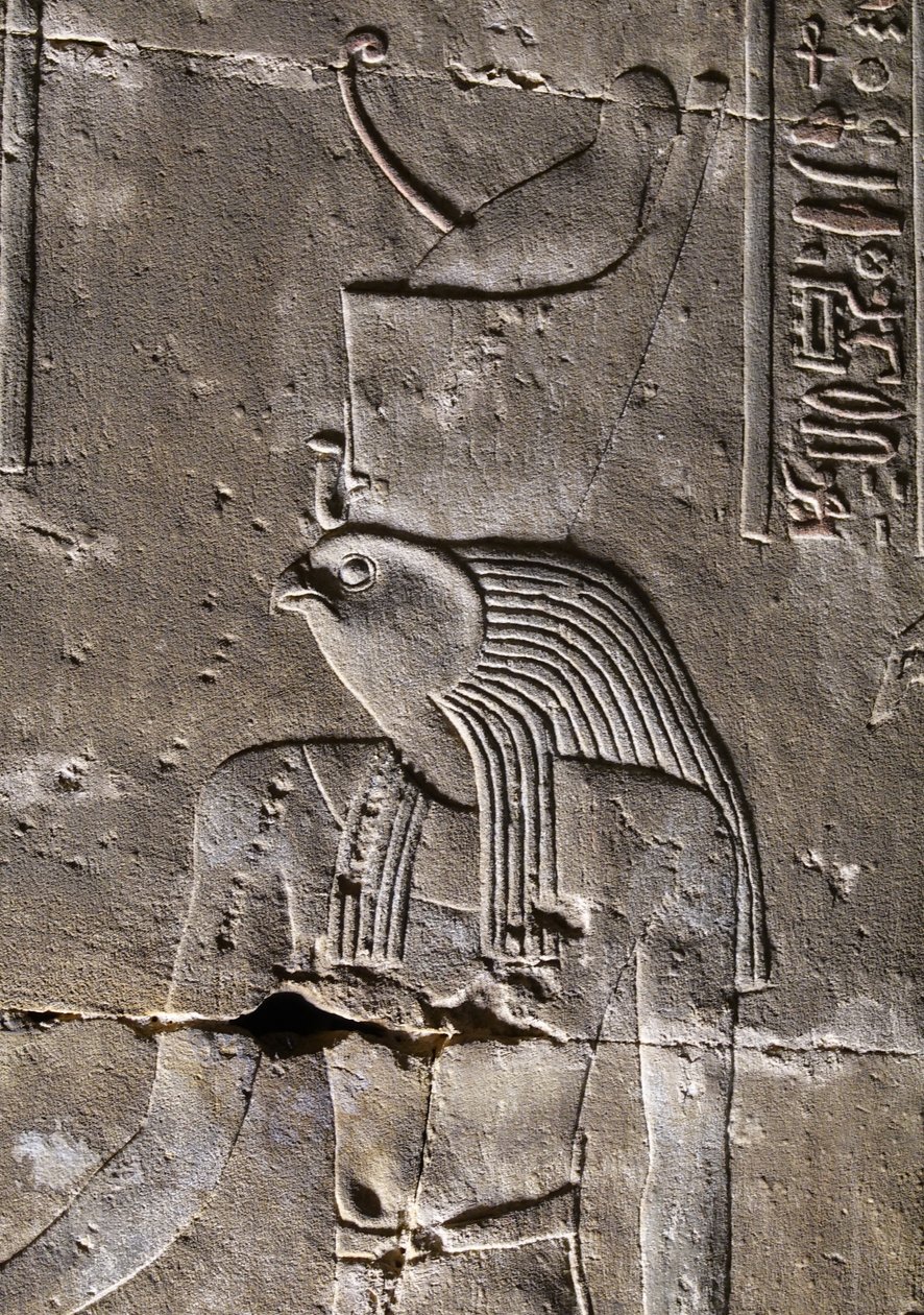  by Egyptian Egyptian
