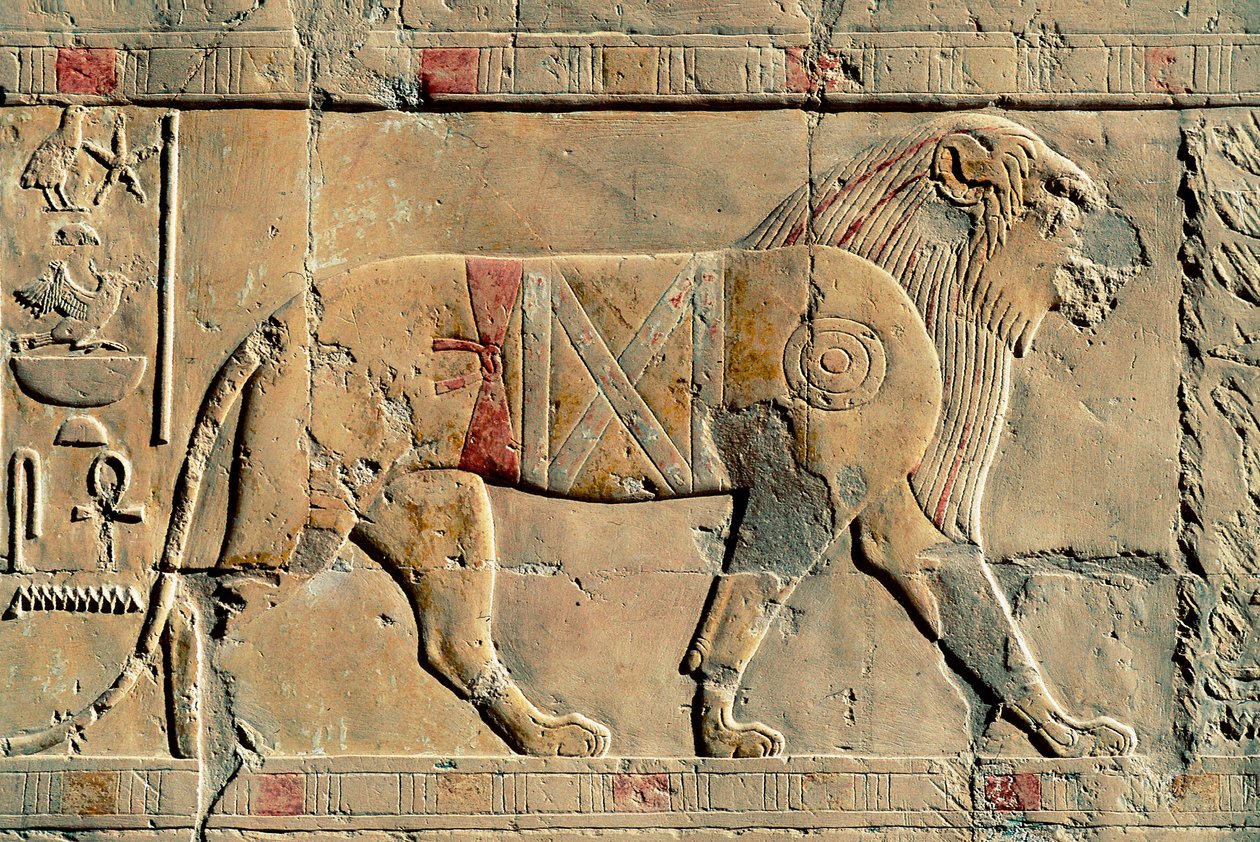 Aslan, Senenmut, Hatshepsut Tapınağı, Dayr al-Bahri, Mısır by Egyptian Egyptian