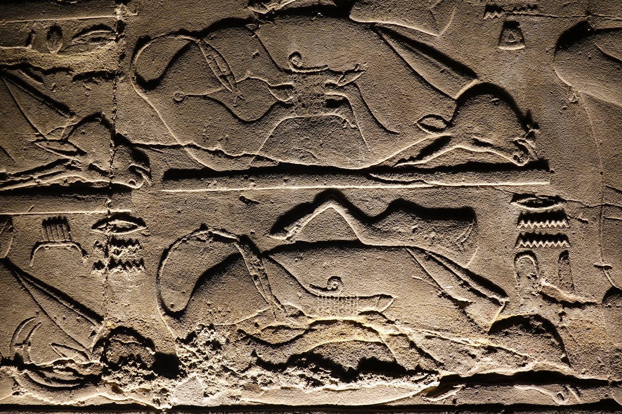  by Egyptian Egyptian