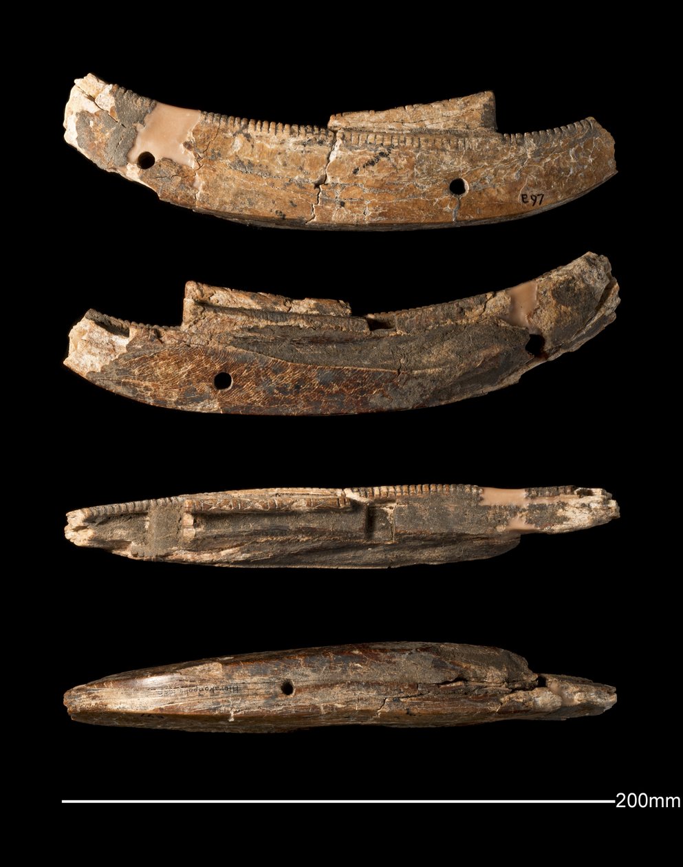 Model tekne, Hierakonpolis, Erken Hanedanlık Dönemi (c. 2950 - c. 2575 BC) (fildişi oyma) by Egyptian Egyptian