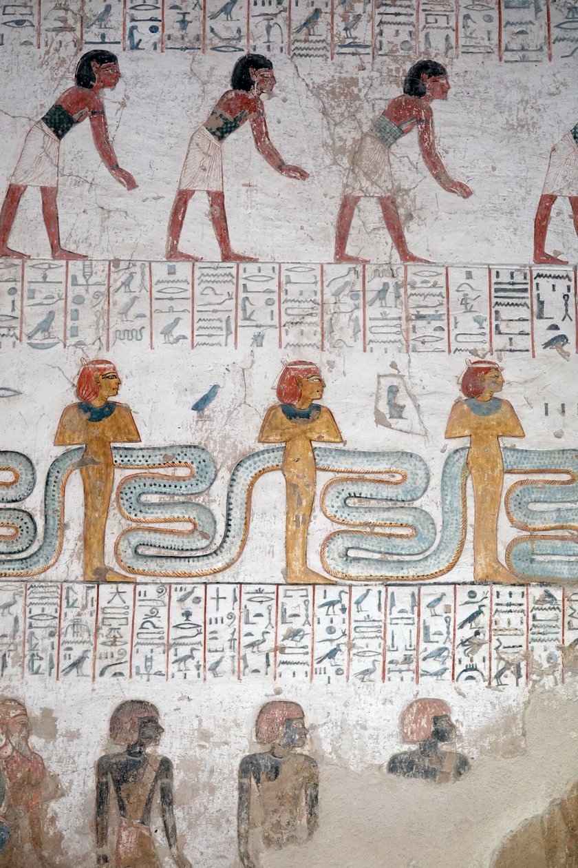  by Egyptian Egyptian