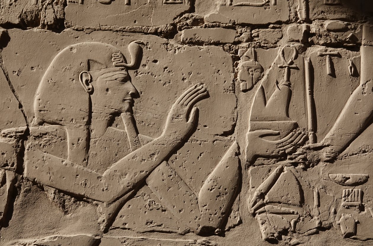  by Egyptian Egyptian