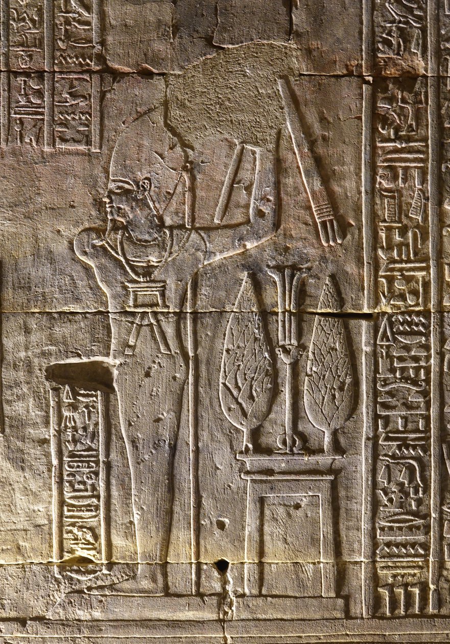  by Egyptian Egyptian
