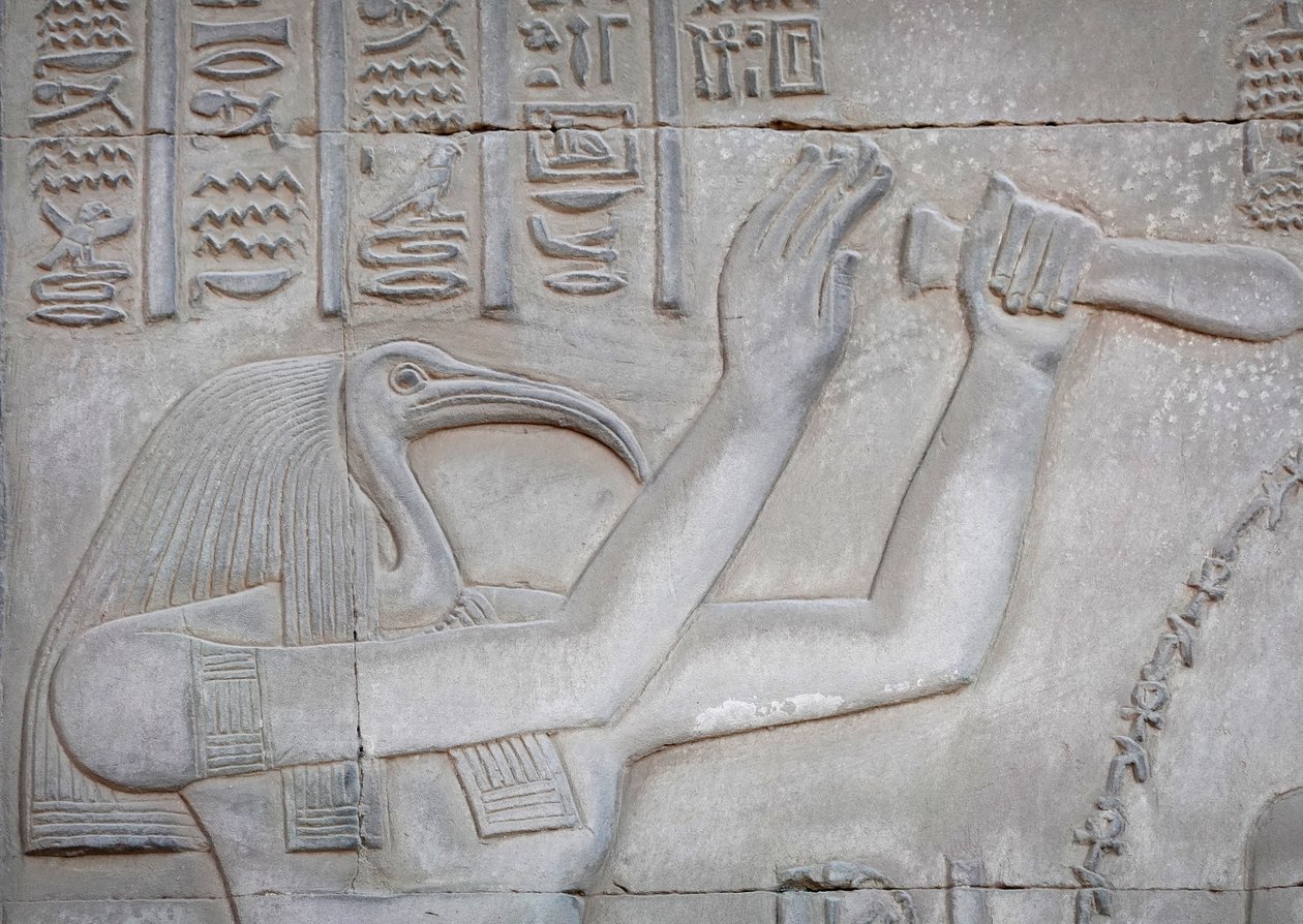 Thot, Kom Ombo Tapınağı (kabartma) by Egyptian Egyptian