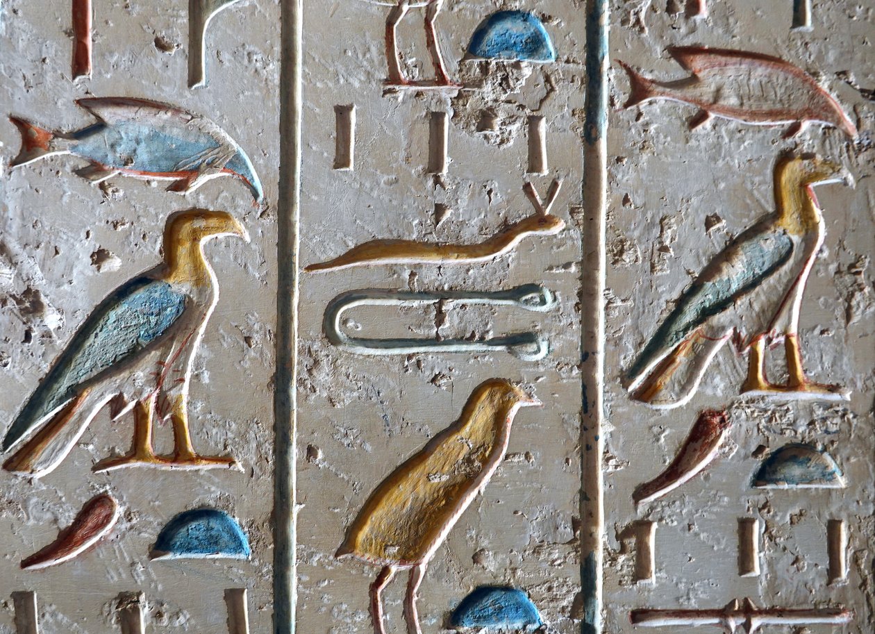  by Egyptian Egyptian
