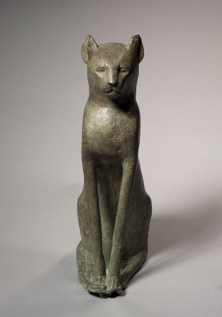 Kedi Tabutu, MÖ 305-30 by Egyptian Ptolemaic Period
