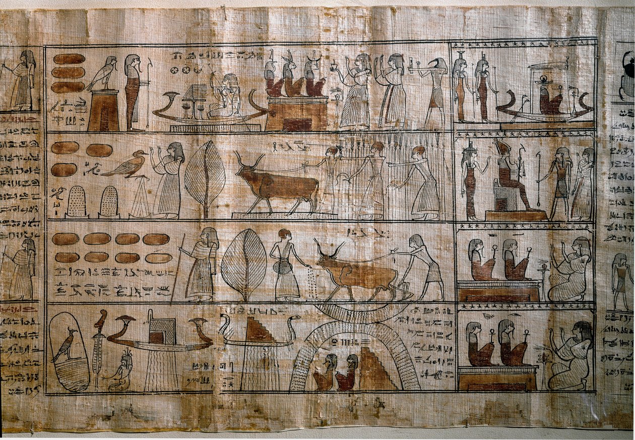 Mısır Antik Çağı: Elysee Tarlaları. Bir Ölüler Kitabının Papirüsü. Ptolemaios dönemi. Torino, Mısır müzesi by Egyptian Ptolemaic Period